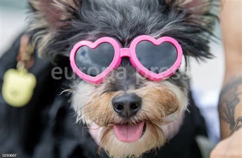 Pride Parade In Edinburgh Europapress