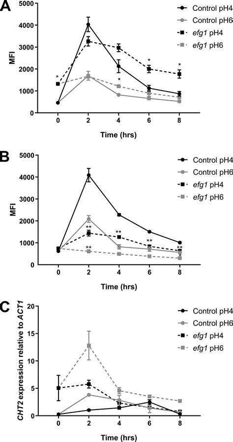 Remasking of Candida albicans β Glucan in Response to Environmental pH