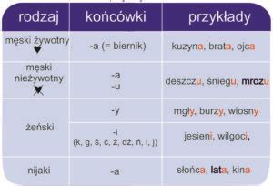 Polish Grammar - Genitive - Online Polish Courses - Polka Dot