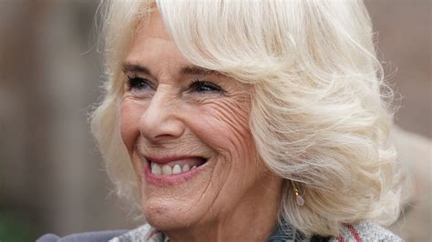 How Camilla Parker Bowles Grew Up To Become Queen Consort