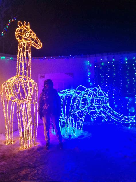 Stacie's Place II: Hogle Zoo Lights