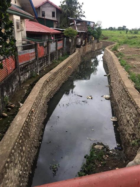 Ongoing Projects Brgy 5 Silay City Cong Dr Kiko Benitez