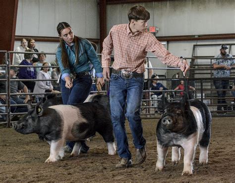 Showing showmanship - Garden City Telegram