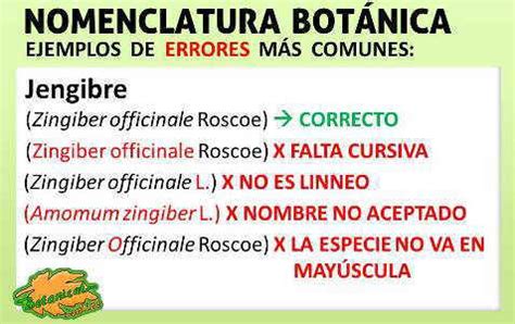 Cómo escribir nombres científicos de plantas Botanical online