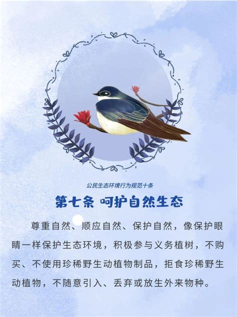 公民十条 《公民生态环境行为规范十条》海报（中华环境）中华人民共和国生态环境部