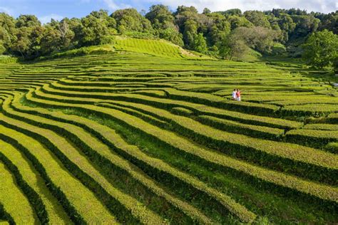 Isla de São Miguel Azores 6 Días 5 Noches Your Tours Portugal