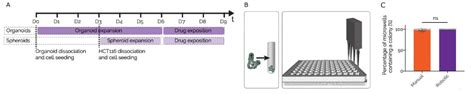 Organoids Generation And Phenotypic Screen On Millicell Microwell Plates