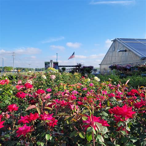 Jung Garden Center, Stoughton | Stoughton WI