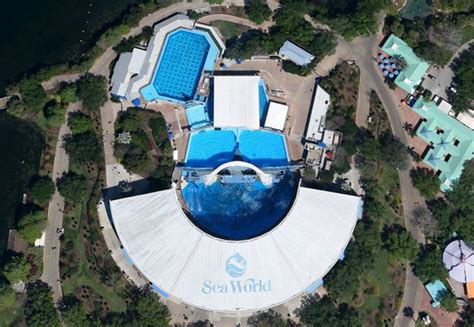 How Big Is The Killer Whale Tank At Seaworld Detroit Chinatown