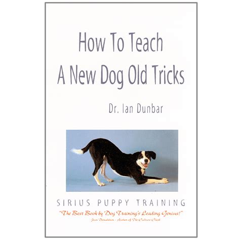 How To Teach A New Dog Old Tricks — James And Kenneth Publishers