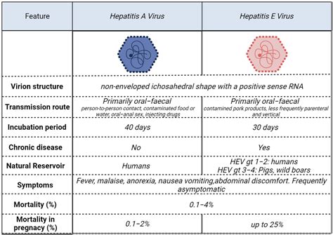 liver support supplements abcs  viral hepatitis types symptoms