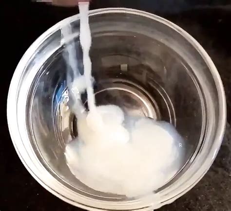 Bowl Of Jizz Gay Cum Tribute Masturbation Porn XHamster