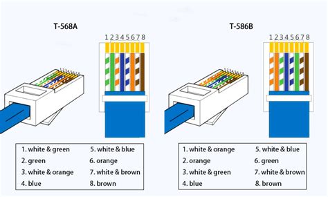 install cate ethernet cable connector catvscope