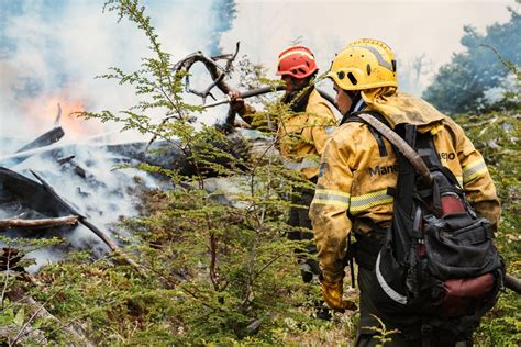 Situación Del Incendio En La Reserva Corazón De La Isla Las Tareas De