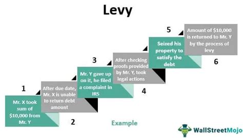 levy meaning  process  tax