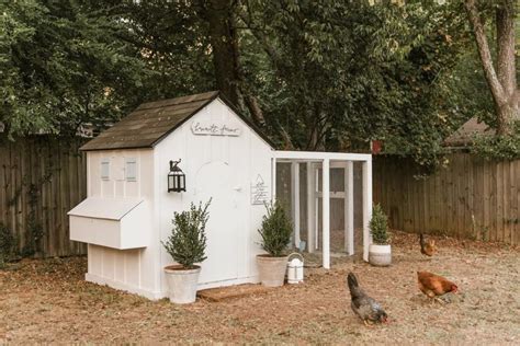 Chicken Coop Secrets to Keep your Chickens Safe and Healthy! - The ...
