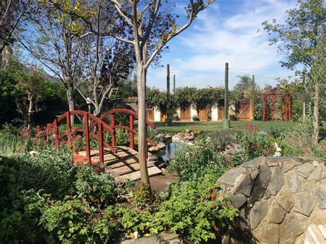 Visitors are raving about the newest summers past farms event 15