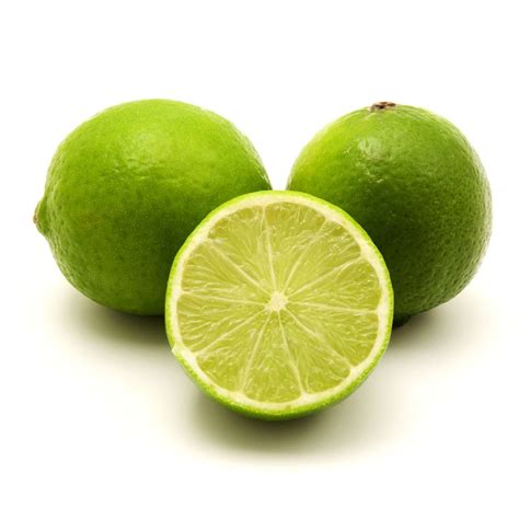 lime tree persian 5
