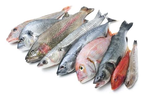 Fish Allergy - Causes, Symptoms and Ayurvedic Treatment