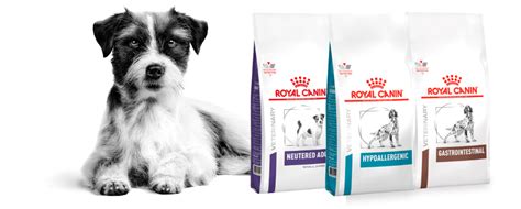 Корм Royal Canin (Роял канин) купить с доставкой в интернет-магазине ...