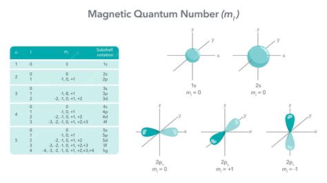 Numero Quantico Magnetico - Diagrama de ilustração vetorial de física de número quântico magnético ...