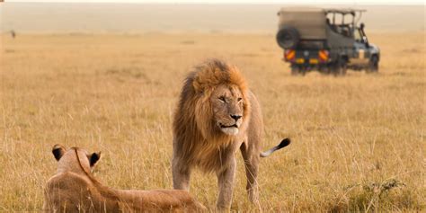 Masai Mara in May – Discover Africa