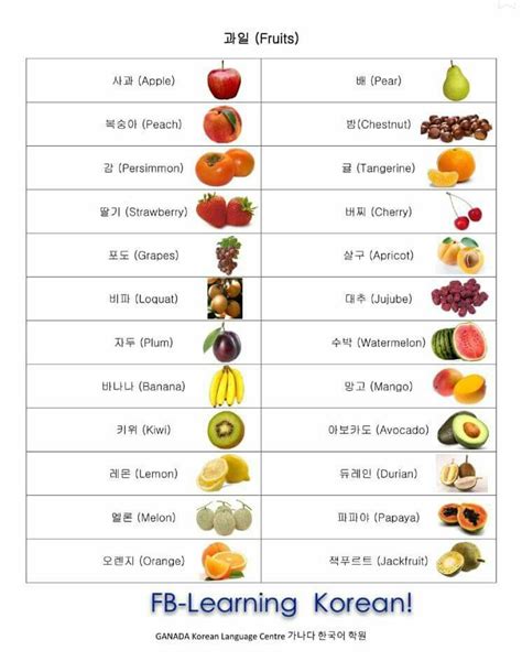 Pin by Chau Ivy on 한국어 Learn korean Korean language Korean words