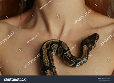Snake Sex Royalty Free Images Stock Photos Pictures Shutterstock