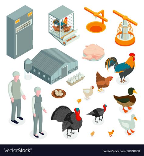 Poultry Farm Isometric Icons Royalty Free Vector Image