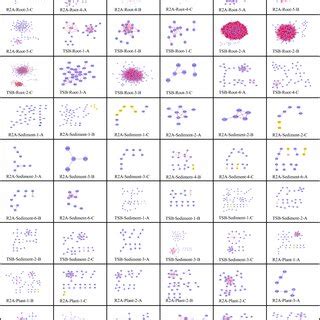Microbial co-occurrence networks inferred based on the microbial ...