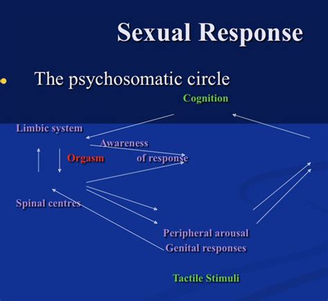 DPS Human Sexuality Flashcards Quizlet