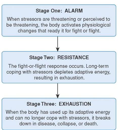 3 Stages Of General Adaptation Syndrome