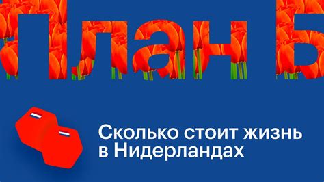 Сколько стоит жизнь в Нидерландах // План Б - YouTube