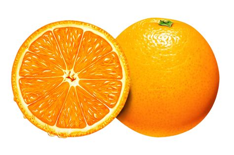Orange Vector Png