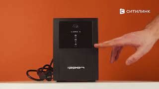 Характеристики ИБП Ippon Back Basic 2200 Euro, 2200ВA [1108028 ...