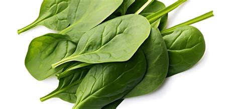 Premium Photo Bundle Of Fresh Spinach Isolated On Transparent Or