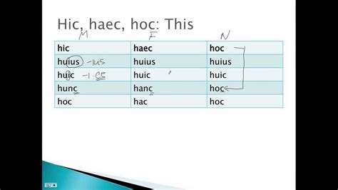 Hic Haec Hoc The First Demonstrative Pronounadjective Youtube