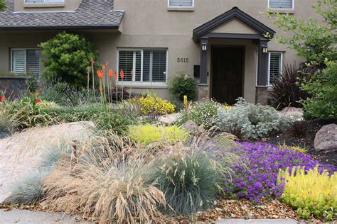 Modern Front Yard Drought Tolerant Landscaping – HomeDecorish