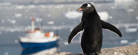 Classic Antarctica - M/V Ushuaia - Explore Worldwide