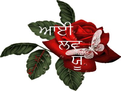 love  wishes images  punjabi punjabi wishes