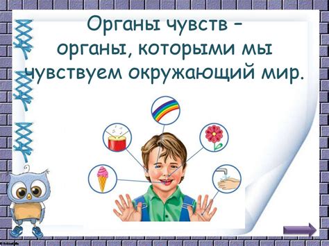 Изучаем себя. Я и мое тело - презентация онлайн
