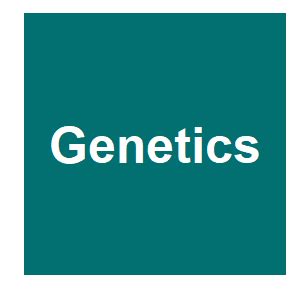 Evolution Of Autosomal Suppression Of The Sex Ratio Trait In Drosophila GeneConvene Virtual