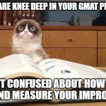 Grumpy Cat Studying Blank Template - Imgflip