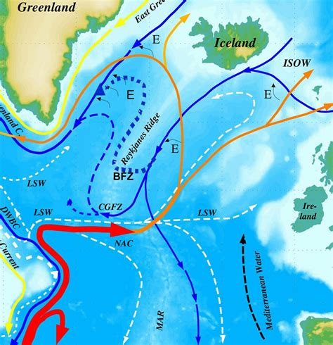 4 1 Circulation Diagram Of The Subpolar Gyre Of The North Atlantic