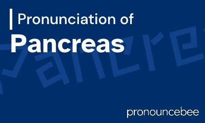 how to pronounce pancreas