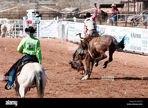 A Cowboy Competes In The Saddle Bronc Riding Event During The Oodham