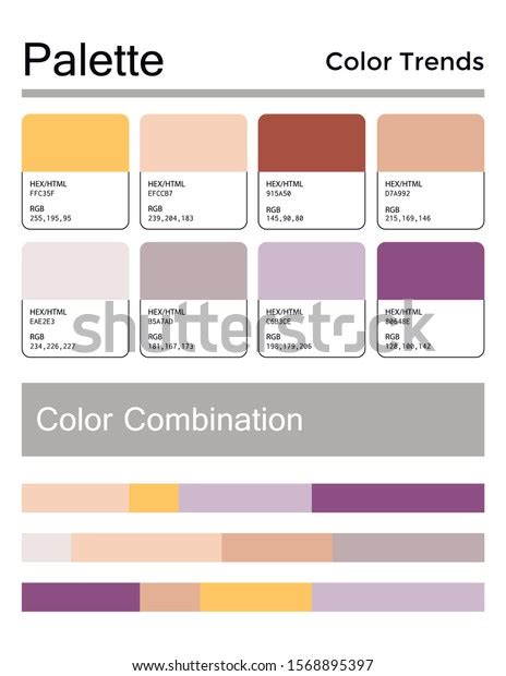 Color Palette Harmonious Combination Codes Names Stock Vector Royalty