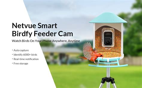 NETVUE Caméra de Mangeoire Oiseaux Exterieur Caméra d Oiseaux AI