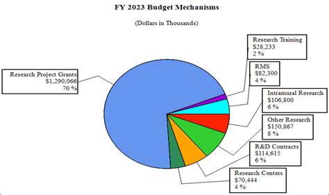 Budget 2023 Lyleaudrina