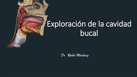 Exploración de la Cavidad Bucal Juli uDocz